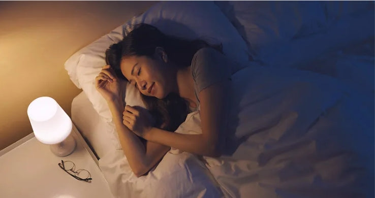 睡眠療法——枕シリーズ
